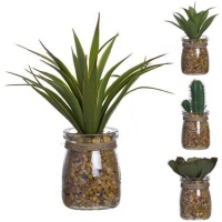 Pianta di cactus artificiale con vaso di vetro assortito 5 x 16 cm