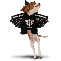 Costume da pipistrello per cane