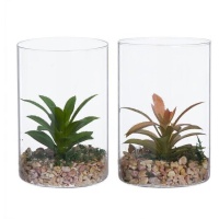 Pianta di cactus artificiale con vaso alto in vetro assortito 10 x 15 cm