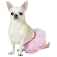 Costume da cane con tutù rosa