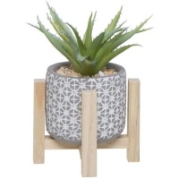 Pianta artificiale di cactus con bordo bianco con base in legno 11,5 x 21 cm