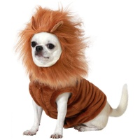 Costume da leone per cani