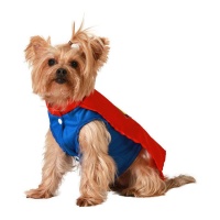 Costume da supereroe rosso per cani