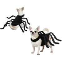 Costume da ragno per cani